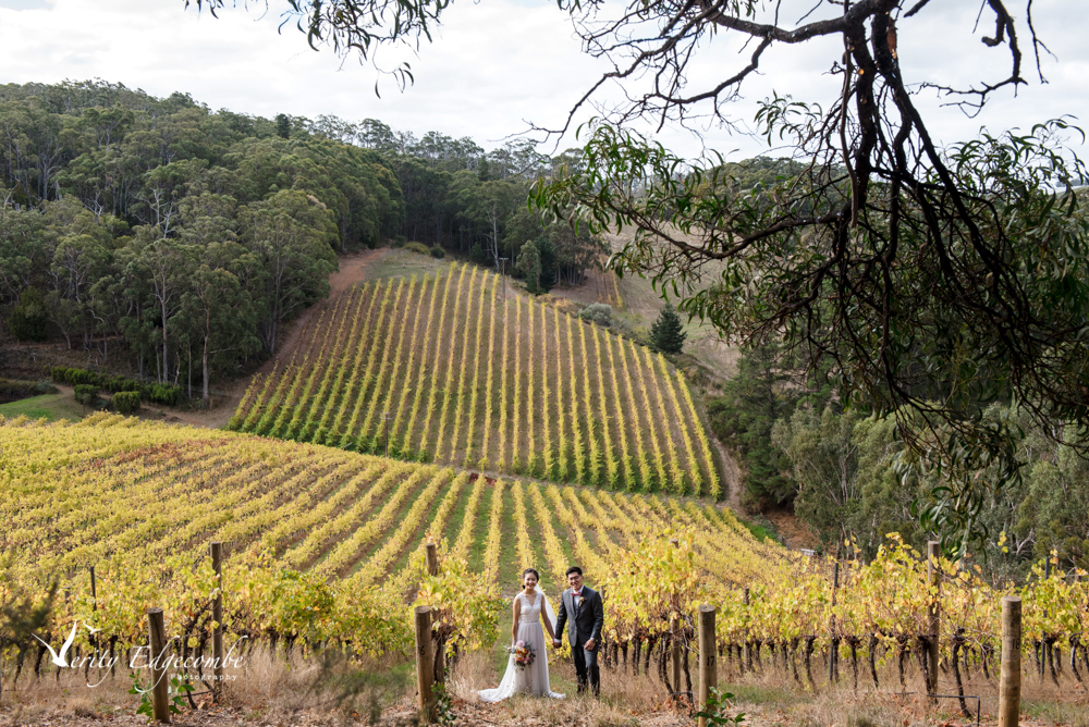 Mt Lofty Ranges Vineyard Wedding